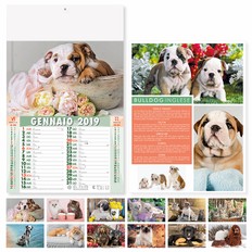 PA108 - CANI E GATTI