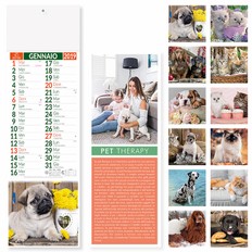 PA191 - SILHOUETTE CANI E GATTI