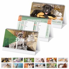 PA403 - CANI E GATTI